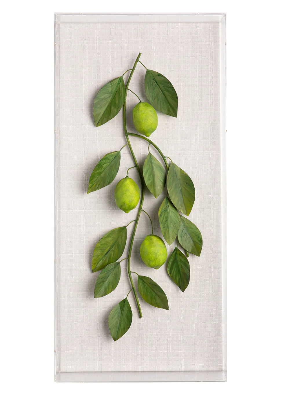 Large Fruit Study Limes On Snow Linen