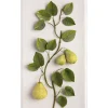 Large Fruit Study Pears On Snow Linen