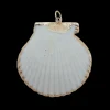 Large Scallop Shell Charm in White