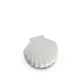 Large Shell Jewelry Storage Box in White/Blue