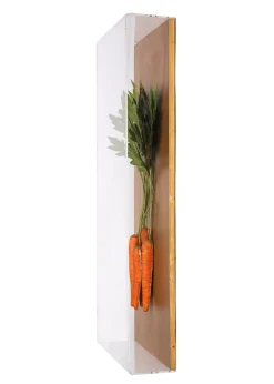 Large Vegetable Study Carrots On Gilded Linen
