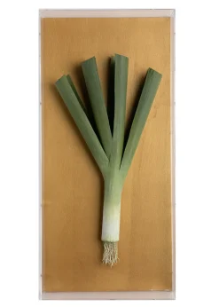 Large Vegetable Study Leek On Gilded Linen