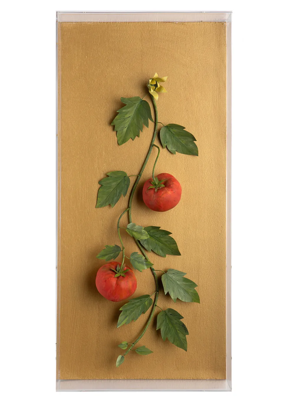 Large Vegetable Study Tomatoes On Gilded Linen