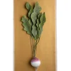 Large Vegetable Study Turnip On Gilded Linen