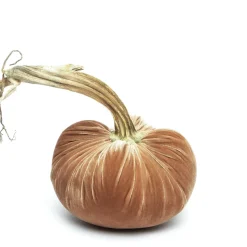 Latte Silk Velvet Pumpkin