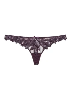 Lily Embroidery Hipster Thong in Aubergine