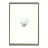 Lily of the Valley Cards, Set of 5
