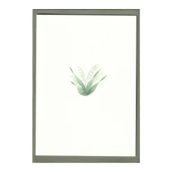 Lily of the Valley Cards, Set of 5