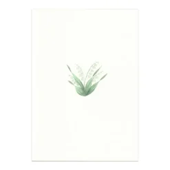 Lily of the Valley Cards, Set of 5