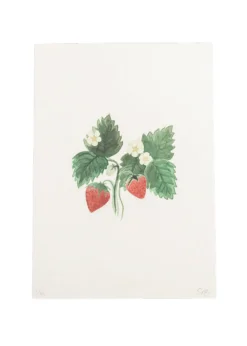 Limited Edition Strawberry Plant Print