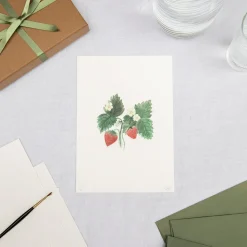 Limited Edition Strawberry Plant Print