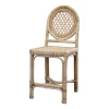 Louis XVI Trellis Counter Stool