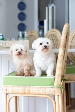 Louis XVI Trellis Counter Stool