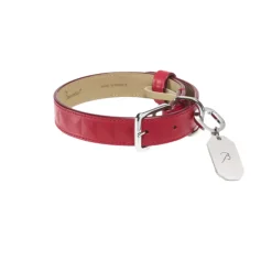 Louxor Leather Pet Collar