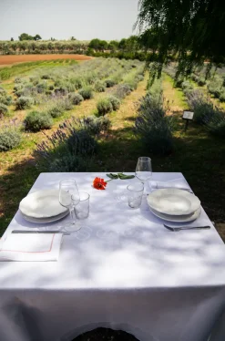 Luci D'Artista Tablecloth