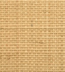 Madagascar Coarse Wallpaper