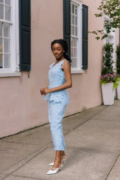 Maesa Organza Floral Dress in Baby Blue