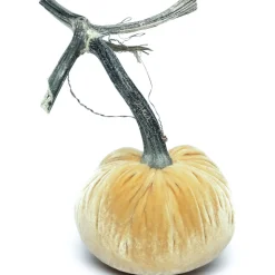 Maize Silk Velvet Pumpkin