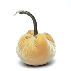 Maize Silk Velvet Pumpkin