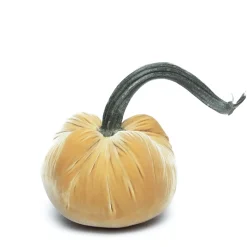 Maize Silk Velvet Pumpkin