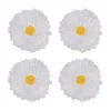 Maria Flor Fruit Plate 23" Daisy, Set of 4
