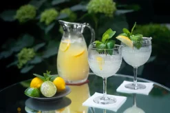 Martha Stewart Wine Glasses, Set of 2