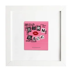 Mean Girls Burn Book