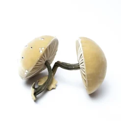 Medium Husk Mushrooms