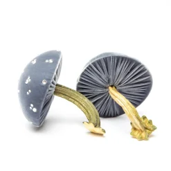 Medium Lake Mushroom