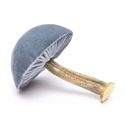 Medium Lake Mushroom