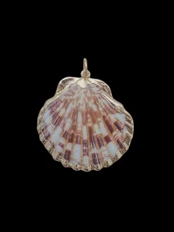 Medium Scallop Shell Charm in Multi