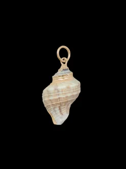 Medium Spiral Shell Charm in Multi