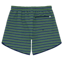 Mens Evergreen Stripe Boardie