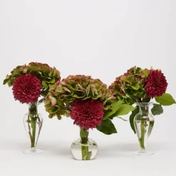 Mila Bud Vases, Trio