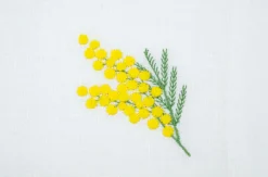 Mimosa Napkin and Placemat, Set of 2