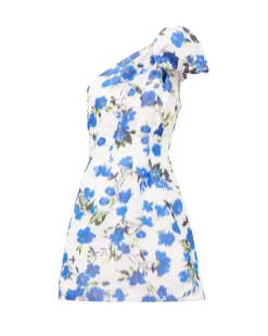 Mindy Dress in Ivory & Bellflower