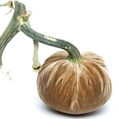 Mocha Silk Velvet Pumpkin