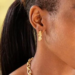 Monique Hoop Earrings in Gold & Cubic Zirconia