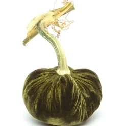 Moss Silk Velvet Pumpkin