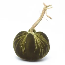 Moss Silk Velvet Pumpkin