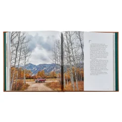 Mountain Rides by Johnny Vacay