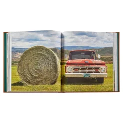 Mountain Rides by Johnny Vacay