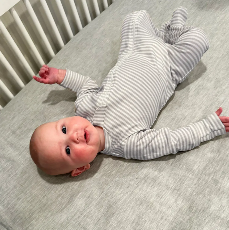 Nesting Box in Gray Elephant