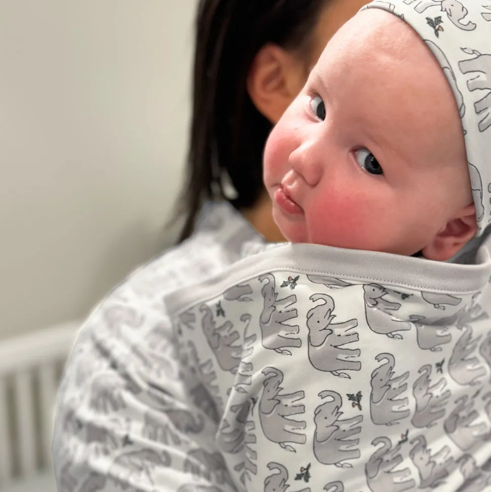 Nesting Box in Gray Elephant