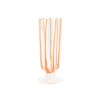 Nuovo Stripe Champagne Glass in Orange