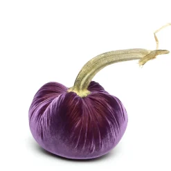 Orchid Silk Velvet Pumpkin