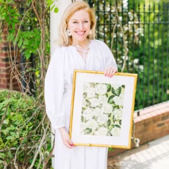 Original Limelight Hydrangeas