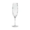 Ottica Collection Flutes 9 oz. in Clear, Set of 6