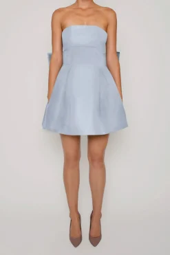 Paige Silk Faille Full Mini Dress