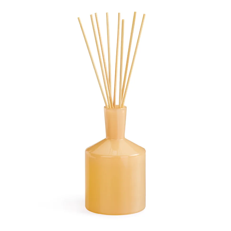 Paloma Melon Classic Reed Diffuser